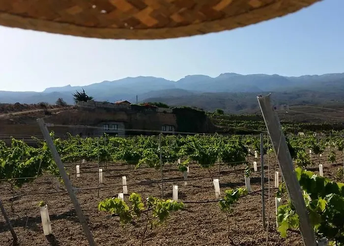 Finca El Rio Nyaraló *